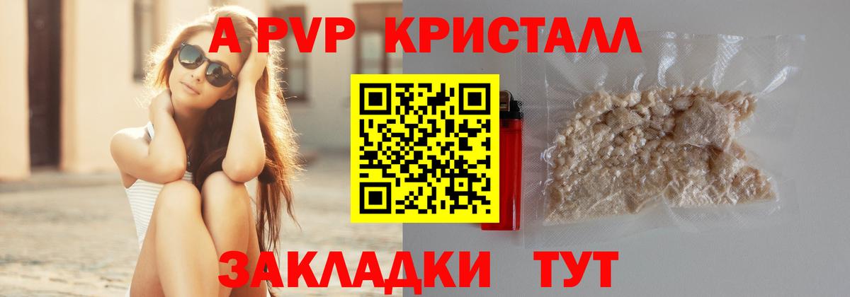 A PVP СК КРИС Тельмана